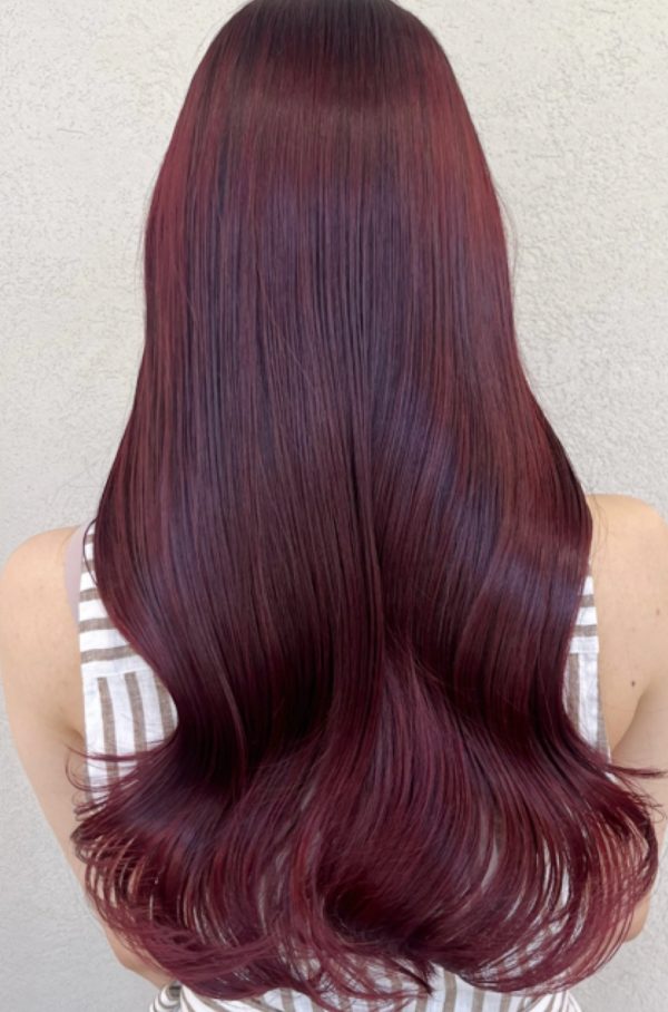 シークレットハイライトのロングヘアを後ろから見たところ。赤みのある深いレッドの髪色に、ツヤと透明感が出ている